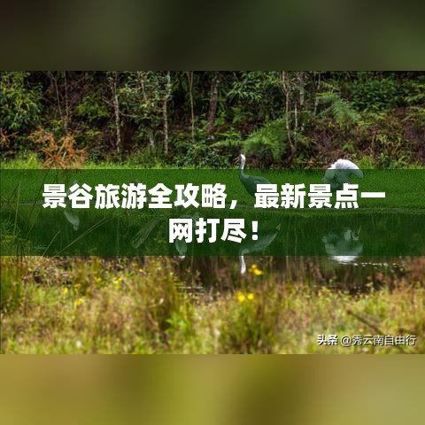 景谷旅游全攻略，最新景点一网打尽！