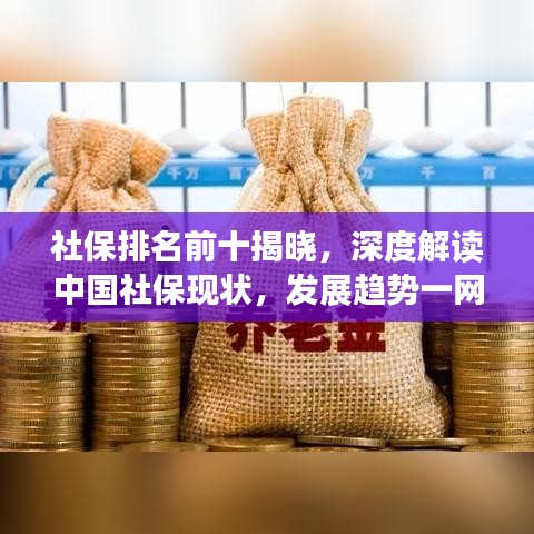 社保排名前十揭晓，深度解读中国社保现状，发展趋势一网打尽！
