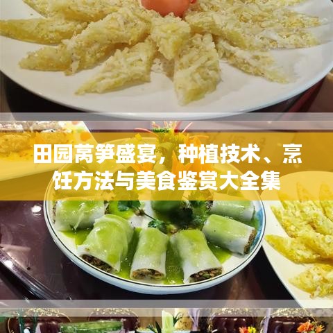 田园莴笋盛宴，种植技术、烹饪方法与美食鉴赏大全集