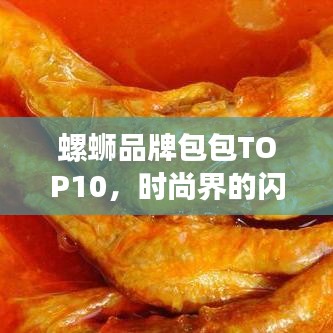 螺蛳品牌包包TOP10，时尚界的闪耀明珠
