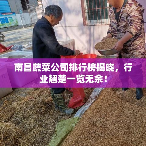 南昌蔬菜公司排行榜揭晓，行业翘楚一览无余！