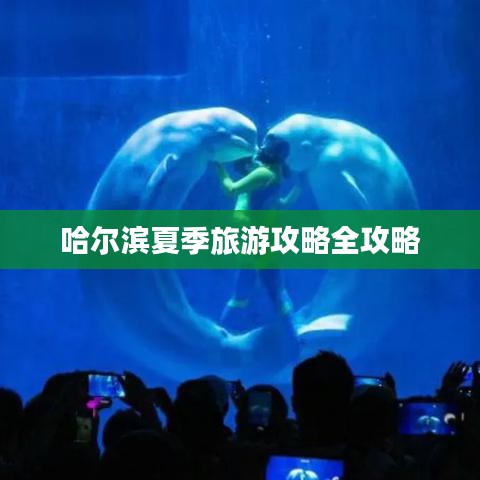 哈尔滨夏季旅游攻略全攻略