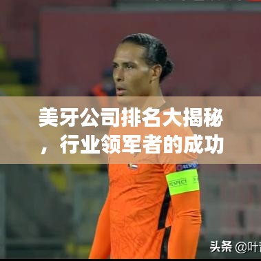 美牙公司排名大揭秘，行业领军者的成功秘诀！
