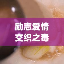 2025年6月30日 第39页