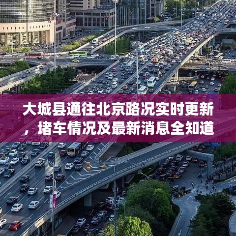 2025年6月30日 第7页