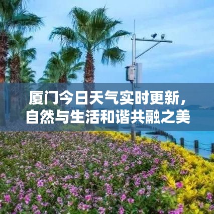 厦门今日天气实时更新，自然与生活和谐共融之美