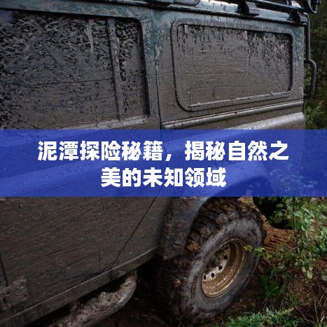 泥潭探险秘籍，揭秘自然之美的未知领域