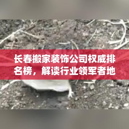 长春搬家装饰公司权威排名榜，解读行业领军者地位