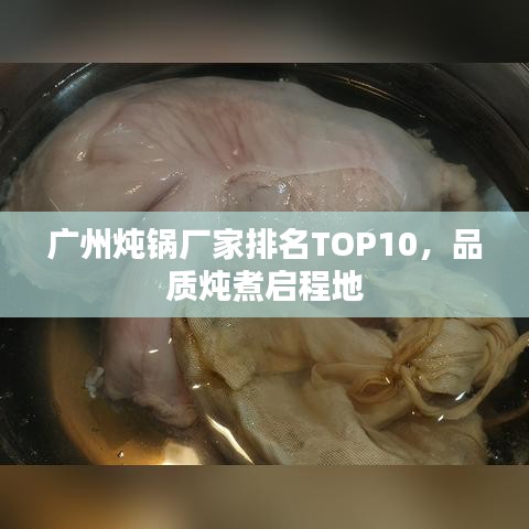 广州炖锅厂家排名TOP10，品质炖煮启程地