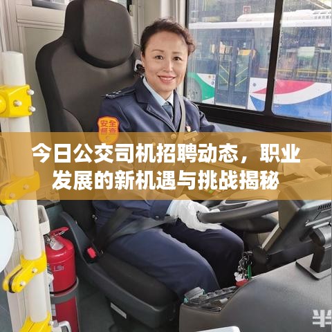今日公交司机招聘动态，职业发展的新机遇与挑战揭秘