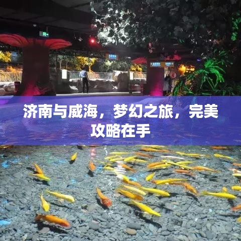 济南与威海，梦幻之旅，完美攻略在手