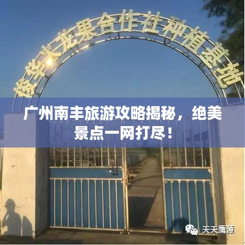 广州南丰旅游攻略揭秘，绝美景点一网打尽！